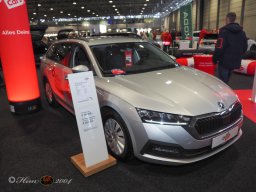 Vienna Drive 15.01.2026